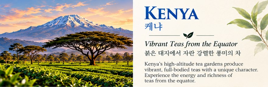 케냐 - Vibrant Teas from the Equator