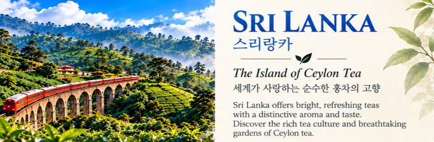 스리랑카 - The Island of Ceylon Tea